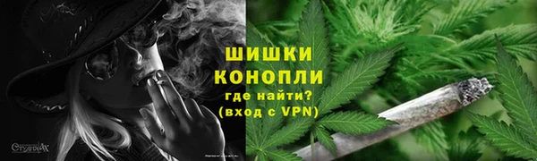 PSILOCYBIN Алексин