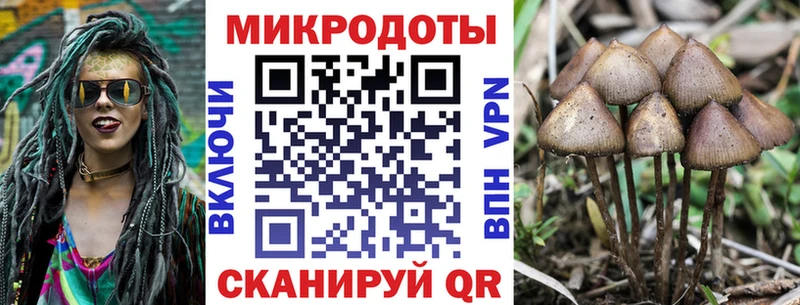 Галлюциногенные грибы Psilocybe Ковров