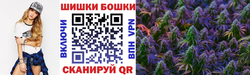mega tor  сайты даркнета наркотические препараты  Конопля сатива  Ковров 